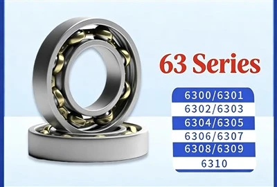 6301 Deep Groove Kulelager
